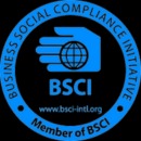 BSCI-LOGO-qo1tokfpe65rqoih51gyuyepw4mfhmm06eqxn7jm38